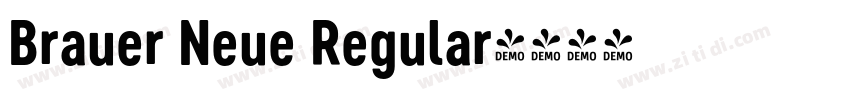 Brauer Neue Regular字体转换